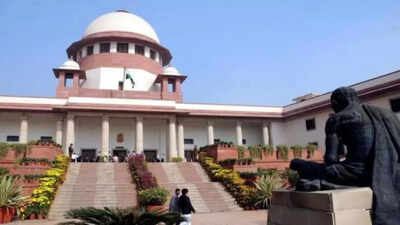 How can temples be classified as ‘industry’, asks Tamil Nadu board in SC | India News