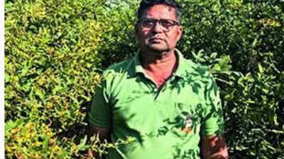 Farm labourer who once earned Rs 5 a day to now speak at Oxford university conference on AI | India News