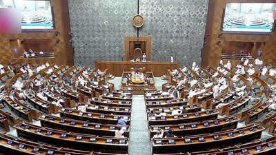 Transgender Persons Amendment Bill: Parliament passes bill to amend transgender law; two members of council for TG persons quit in protest | India News