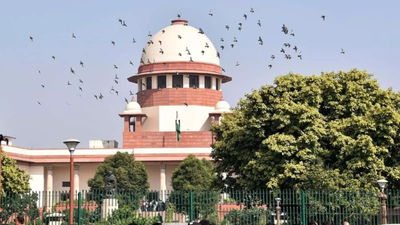 ‘Unsustainable in law’: SC rules OBC creamy layer status cannot be decided on income alone | India News