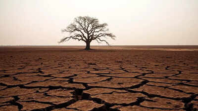 El Nino may set in by 1st half of monsoon: US forecast | India News