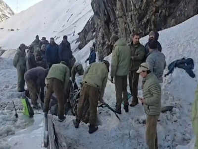 7 killed as avalanche buries several vehicles at Zojila Pass | India News