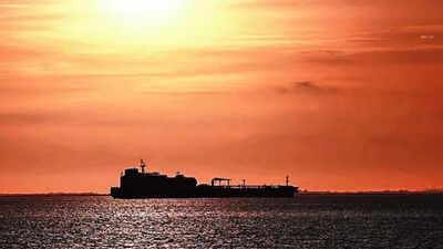 A harrowing time but home at last, recalls crew member of Indian-flagged ship | India News