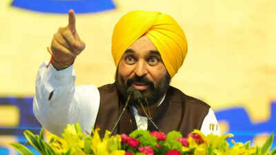‘Why have you stopped paying?’ Punjab to seek water royalty from Rajasthan; Mann claims Rs 1.44 lakh crore dues since 1960 | India News
