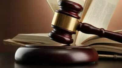 Remove posts linking mantri’s daughter to Epstein in 24 hours: HC | India News