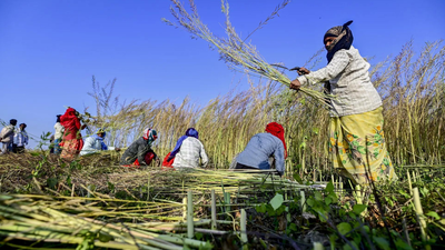 Grains for all: UP boosts food security with tech, nutrition and robust procurement systems | India News