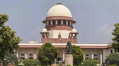 ‘Shameful to summon 3-year old’: Supreme Court slams Haryana Police for ‘insensitive’ handling of child rape case | India News
