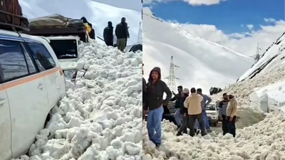 Avalanches at Zoji La pass: 7 killed, 5 injured in Ladakh; Srinagar-Leh highway blocked | India News