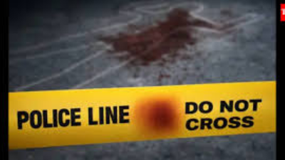 3 engg students ‘murder’ drunk driver for car | India News