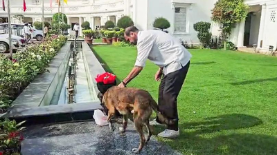 Delhi Assembly security scare: Police nab suspect, seize car; no bomb-like object found | India News