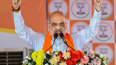Won’t divide Bengal, will solve Gorkha issue in a constitutional manner: Shah | India News
