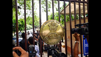 17 years on, gallery owner convicted for Shahtoosh shawl export bid | India News