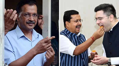Raghav Chadha-led exodus jolts AAP; party races to recalibrate strategy: What next? | India News