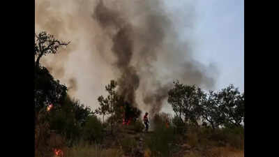 India submits its new climate action pledges to the UN body, flags the conditions to fulfill its promise | India News