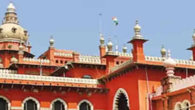 Allow leave for 3rd pregnancy: Madras HC to TN govt | India News