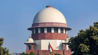 Invoke preventive detention against sand mafia, says Supreme Court | India News