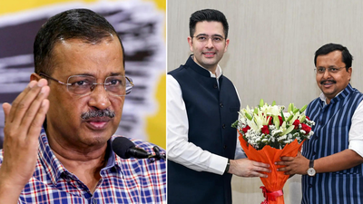 Fastest growing startup to implosion: Future tense for AAP as Raghav Chadha leads Rajya Sabha exodus | India News
