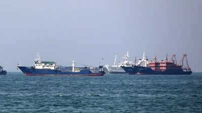 ‘Targeting commercial shipping unacceptable’: India urges safe navigation through Strait of Hormuz at UN | India News