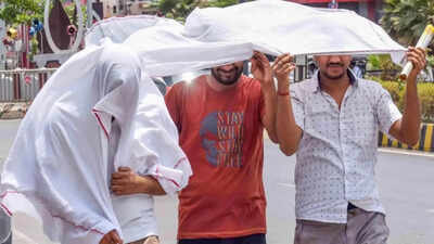 India Faces Scorching Heat: IMD Issues Heat Wave Alert Across Multiple States | India News