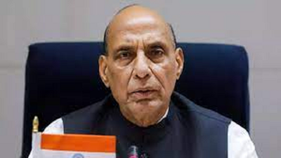 ‘It is possible’: Rajnath says India may ‘play its role’ in bringing peace in West Asia | India News