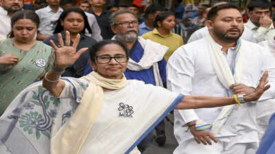 Didi’s clarion call: Queue up once more, teach BJP lesson | India News