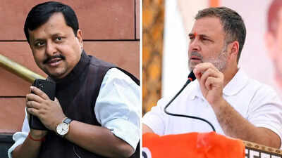 BJP attacks Rahul over ‘traitor’ remark on PM Modi