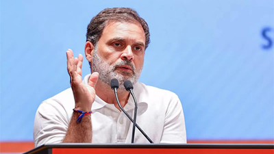Rahul Gandhi Fir: Allahabad HC rejects plea seeking FIR against Rahul Gandhi over ‘fighting the Indian State’ remark | India News
