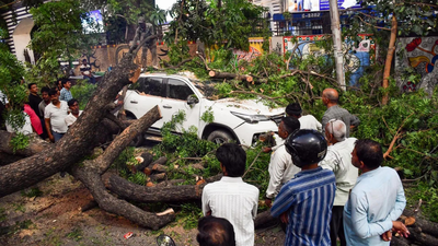 89 killed as thunderstorm batters Uttar Pradesh | India News