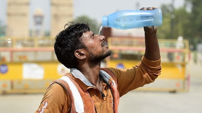 City tops 46°C on torrid Tuesday; scorching days ahead, warns IMD