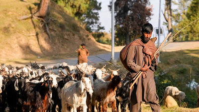 Kashmir nomads file ‘atrocity’ complaint after demolition of their houses | India News