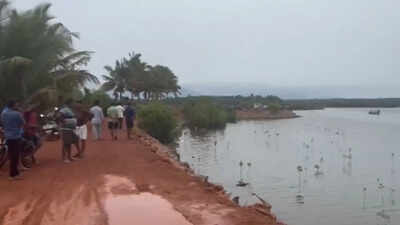 Eight, including seven women, drown in Uttara Kannada river tragedy near Bhatkal | India News