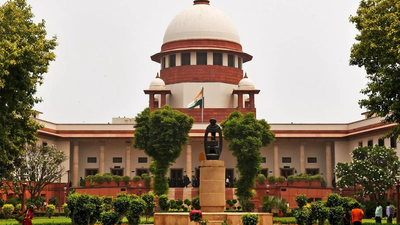 Parents’ fear of divorce stigma may be pushing many women into death traps: SC | India News