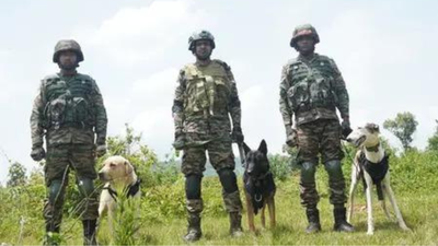Operation Sheruwali enters day 4, searches intensified | India News