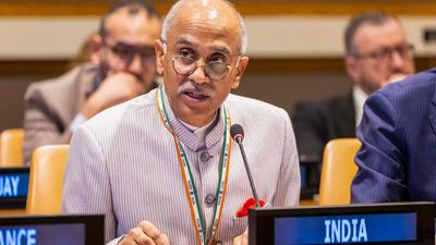 ‘Bombs its own people’: India slams Pakistan at UNSC, flags ‘long-tainted record of genocidal acts’ | India News