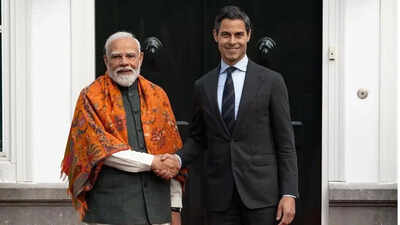 India, Netherlands set up joint working group on clean energy