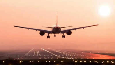 Government Approves Rs 5,000 Crore Emergency Credit Scheme for Airlines | India News