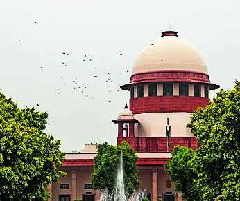 SC: Child’s right to know father outweighs privacy | India News