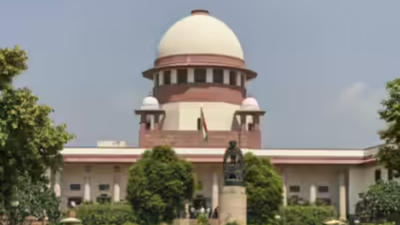 Courts not bound by govt’s N-liability cap
