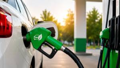 Standards for fuel blends up to E30 notified