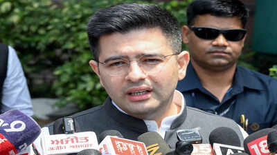 Raghav Chadha appointed chairman of Committee on Petitions in Rajya Sabha days after joining BJP | India News