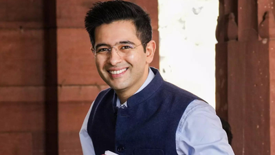 ‘Line between defamation & criticism is thin’: Delhi HC on Raghav Chadha’s personality rights plea | India News