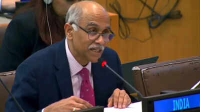 India condemns attacks on ships in Strait of Hormuz at UN