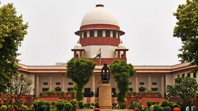 Staff crunch, infrastructure hit NCLT operations, must be addressed: Supreme Court | India News