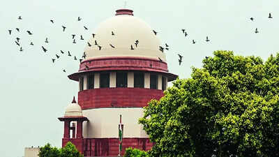 Would Kasab have been given bail over trial delay? Government to SC over UAPA debate | India News