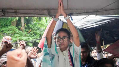 TMC may be headed NCP, Sena way, rebels claim support of 19 of 28 MPs | India News