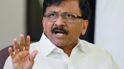 Sanjay Raut showers cuss words like confetti | India News