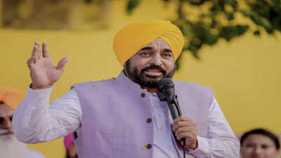 ‘Not Bhagwant Mann’: AAP cites ‘1,191 different angles’ to defend Punjab CM in ‘sacrilege’ row | India News