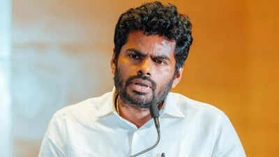 ‘Will talk in 2 days’: BJP leader K Annamalai on speculation over new party in Tamil Nadu | India News