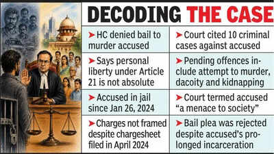 HC: Personal Liberty Under Article 21 Not Absolute, Can’t Outweigh Public Safety | India News