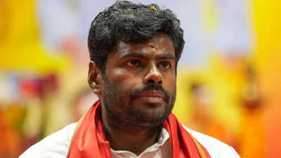 K Annamalai: ‘Increase in crimes involving North Indians’: K Annamalai demands stricter checks on migrants | India News